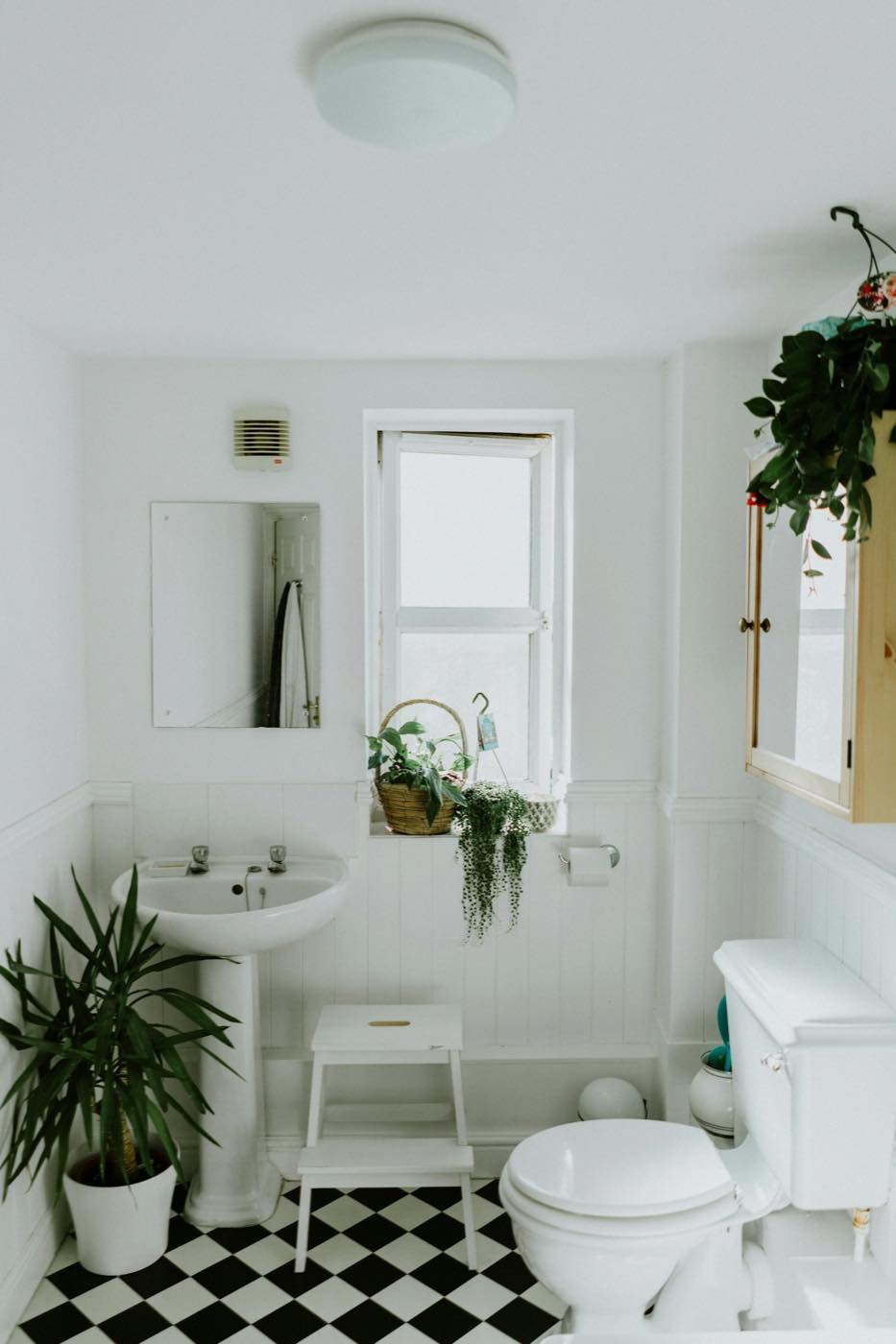 A white bathroom with a pedestal sink, checkered floor and plants